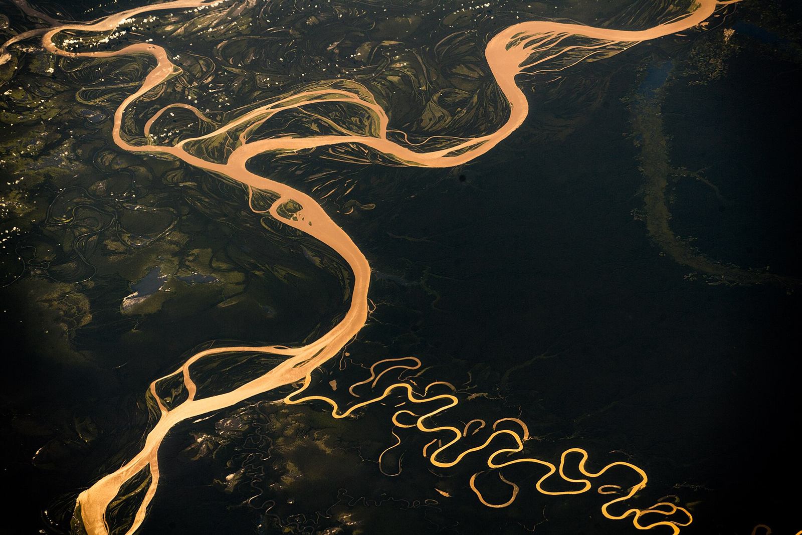An aerial view of a river winding through the Amazon Rainforest